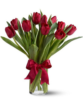 Red Tulip with Vase