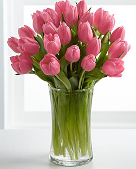 19 Tulips In A Vase